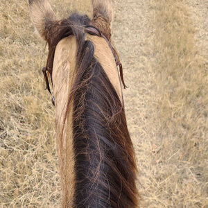 Meet your Posher, Lyndsey